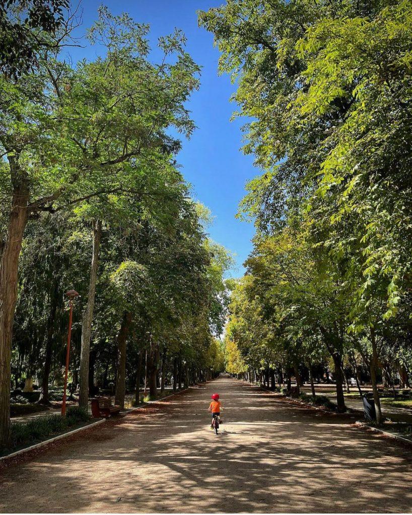 referencias paisaje pau 5 años